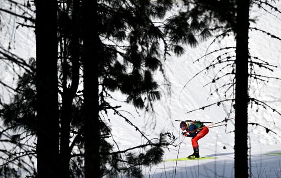 Russia Biathlon Championships Men Relay