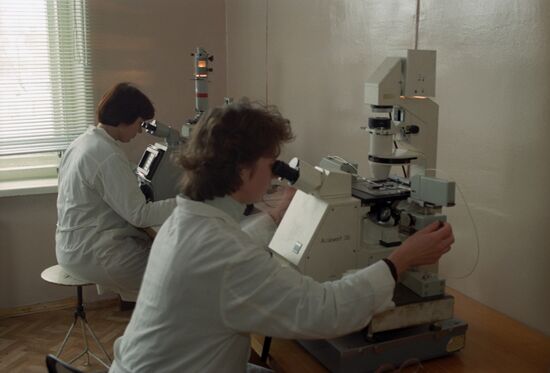 Experiments on creating cloned animals at Russian Academy of Agricultural Sciences