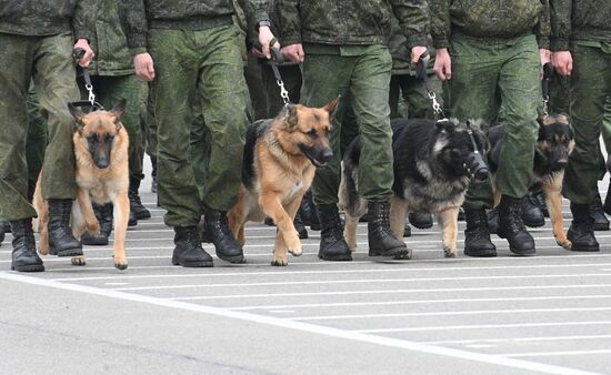 Belarus WWII Victory Day Parade Rehearsal