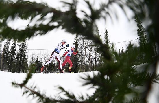 Russia Cross-Country Skiing Cup Men Pursuit