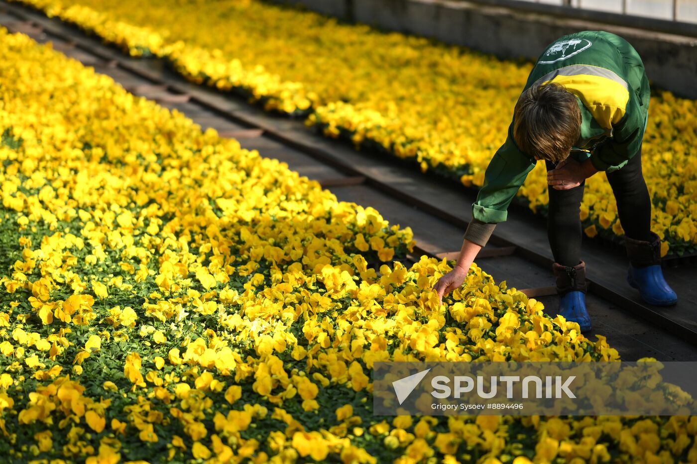 Russia Flower Growing
