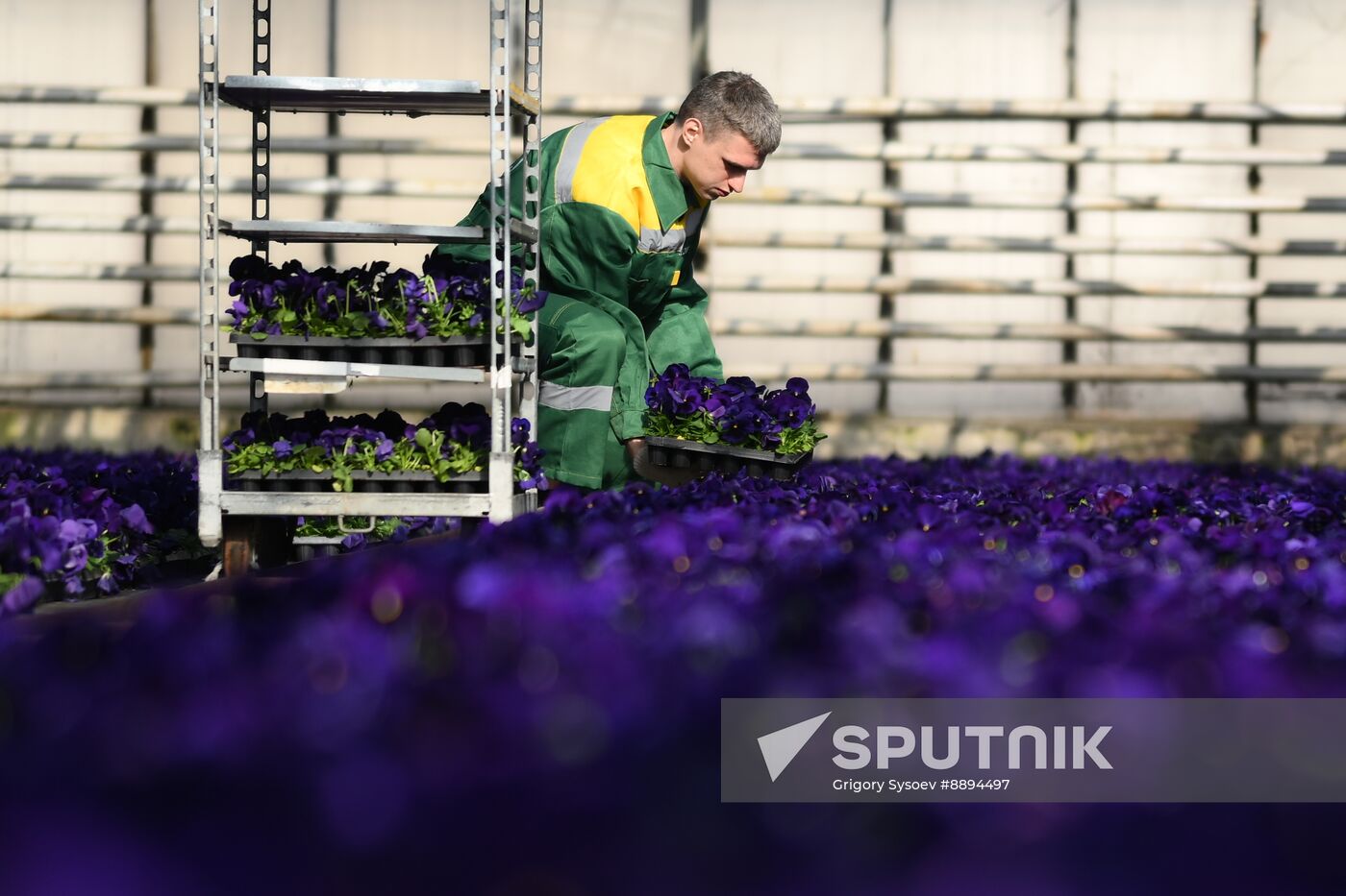 Russia Flower Growing