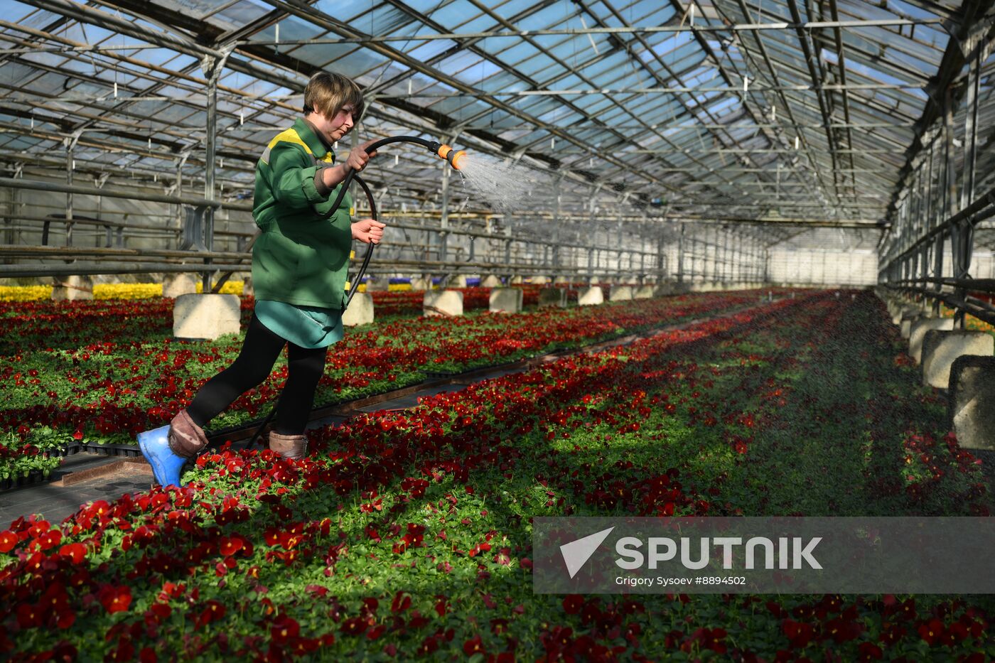Russia Flower Growing