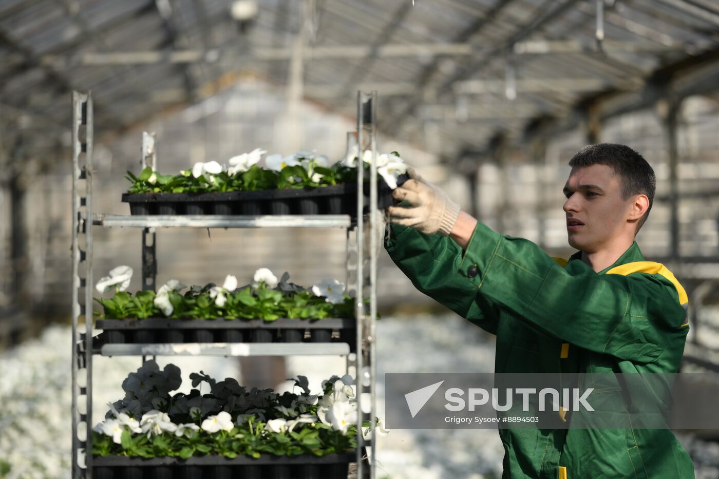 Russia Flower Growing