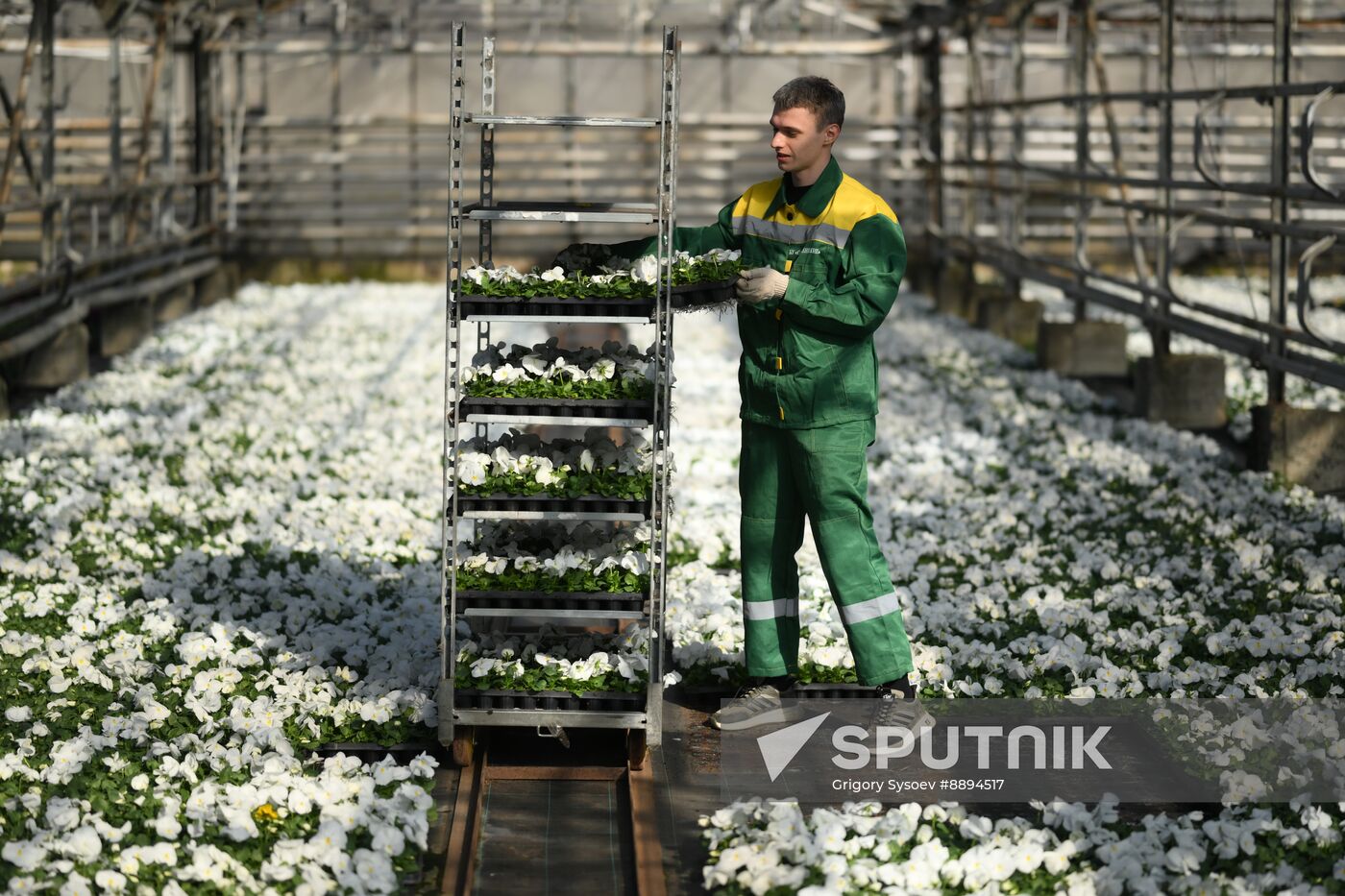 Russia Flower Growing