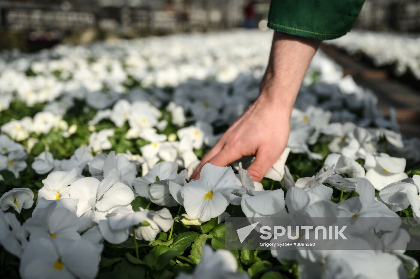 Russia Flower Growing