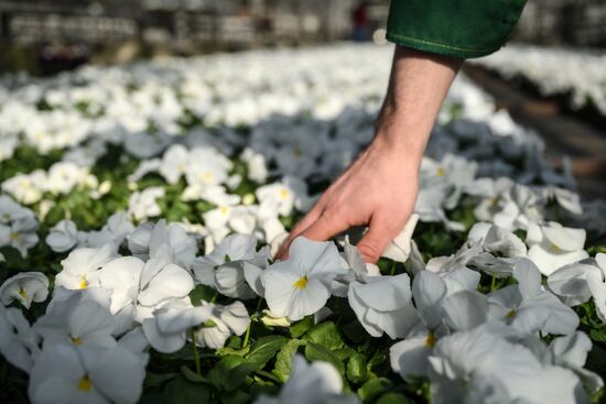 Russia Flower Growing