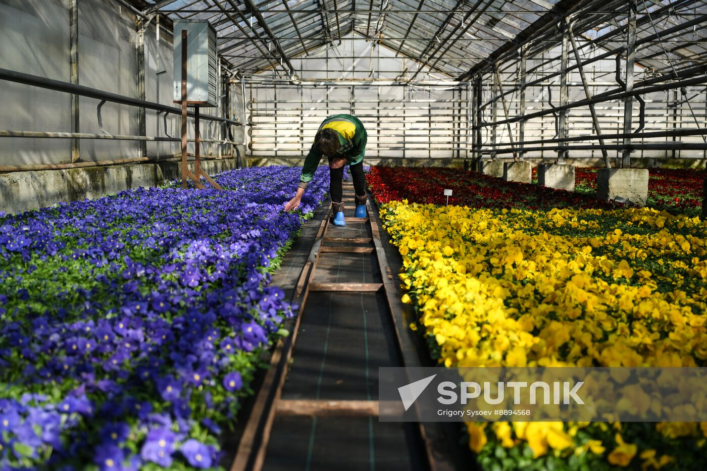 Russia Flower Growing