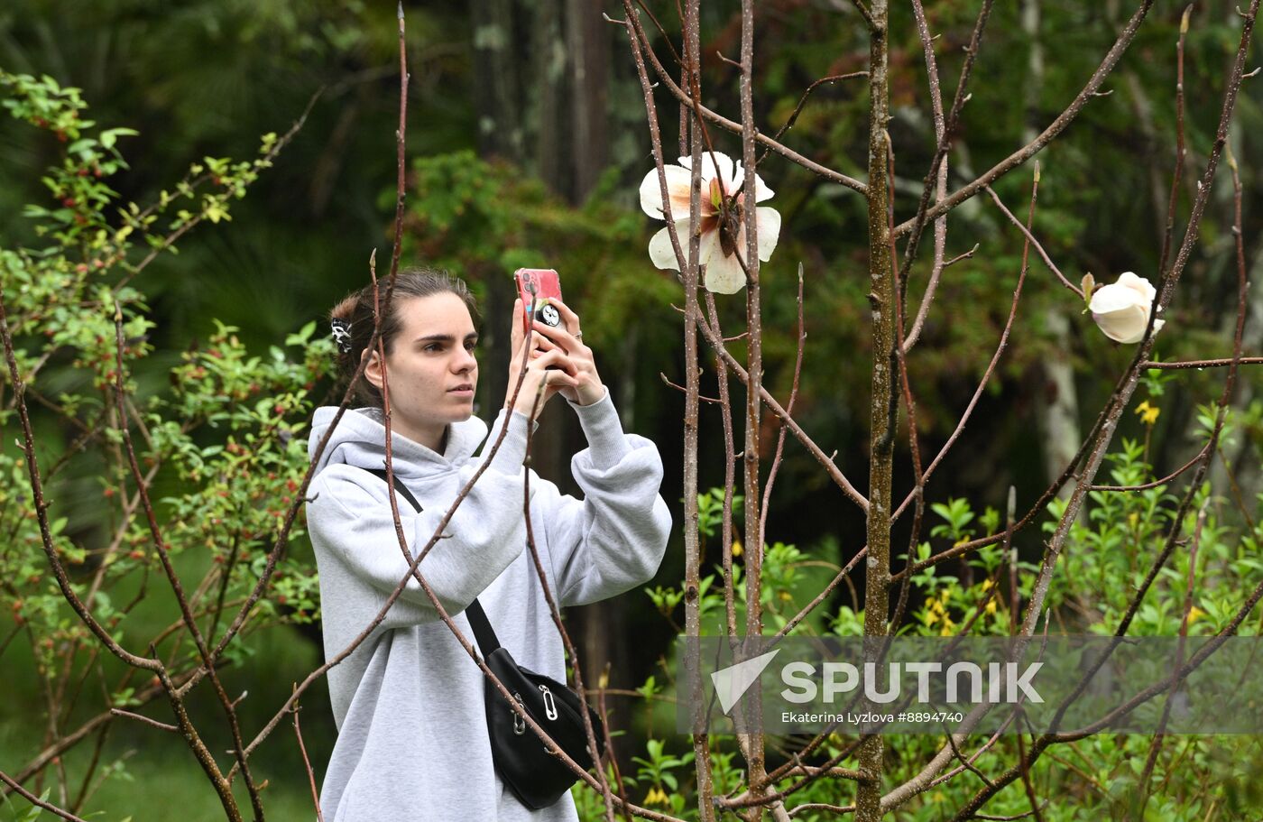 Russia Environment Cherry Blossom