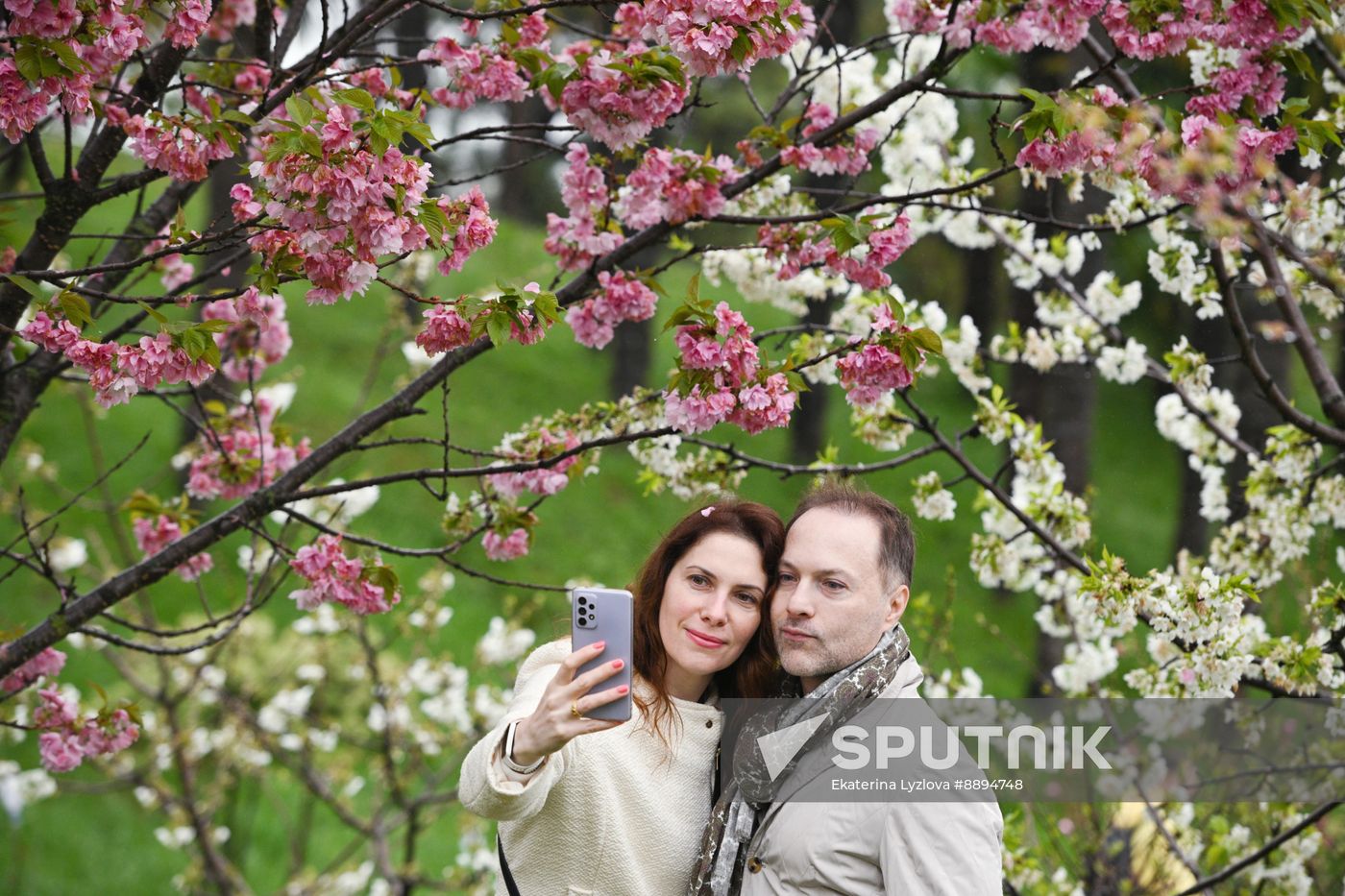 Russia Environment Cherry Blossom