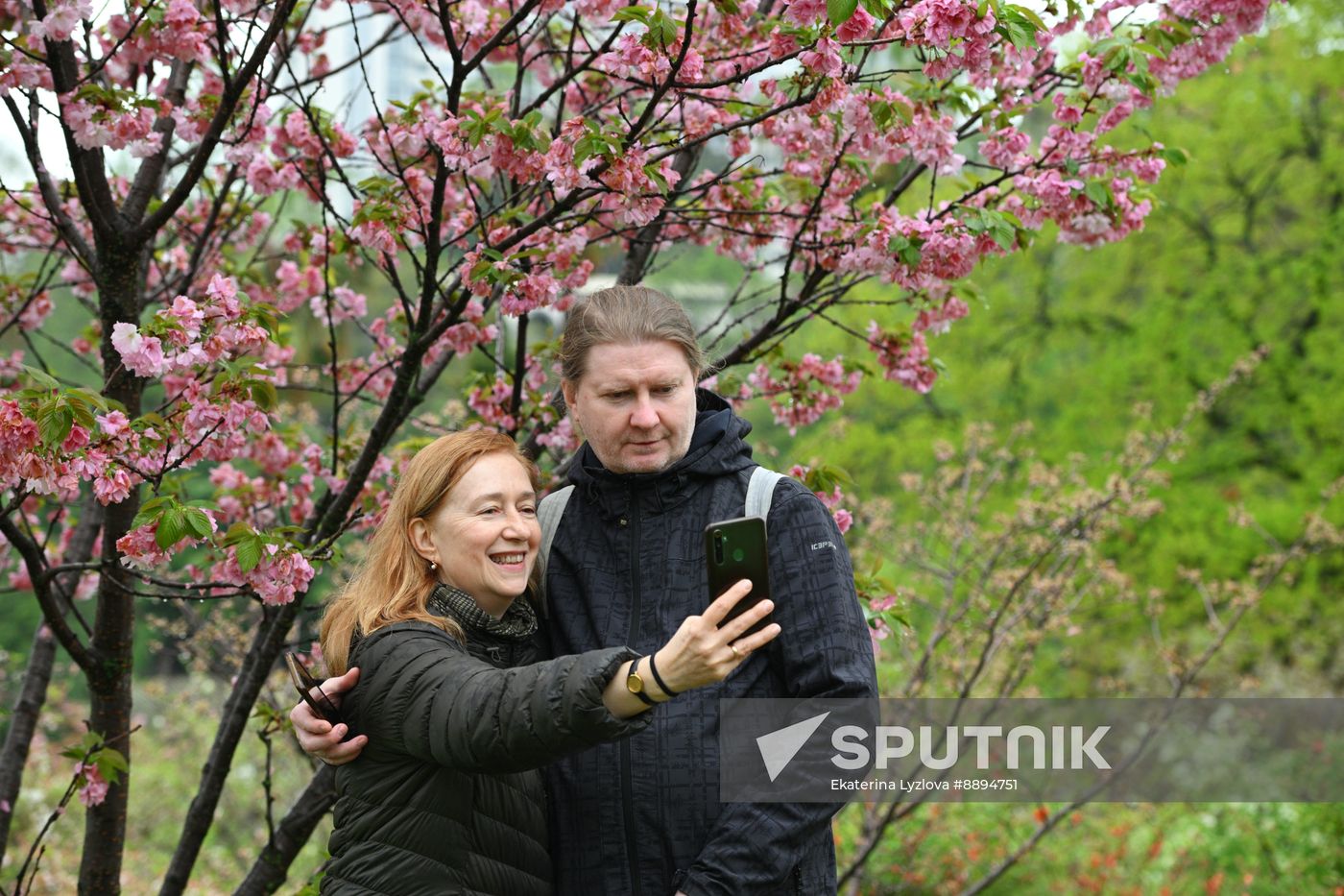 Russia Environment Cherry Blossom
