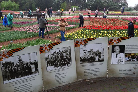 Russia Environment Tulips Exhibition