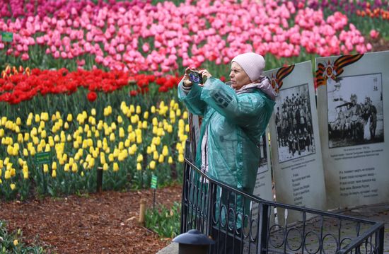 Russia Environment Tulips Exhibition