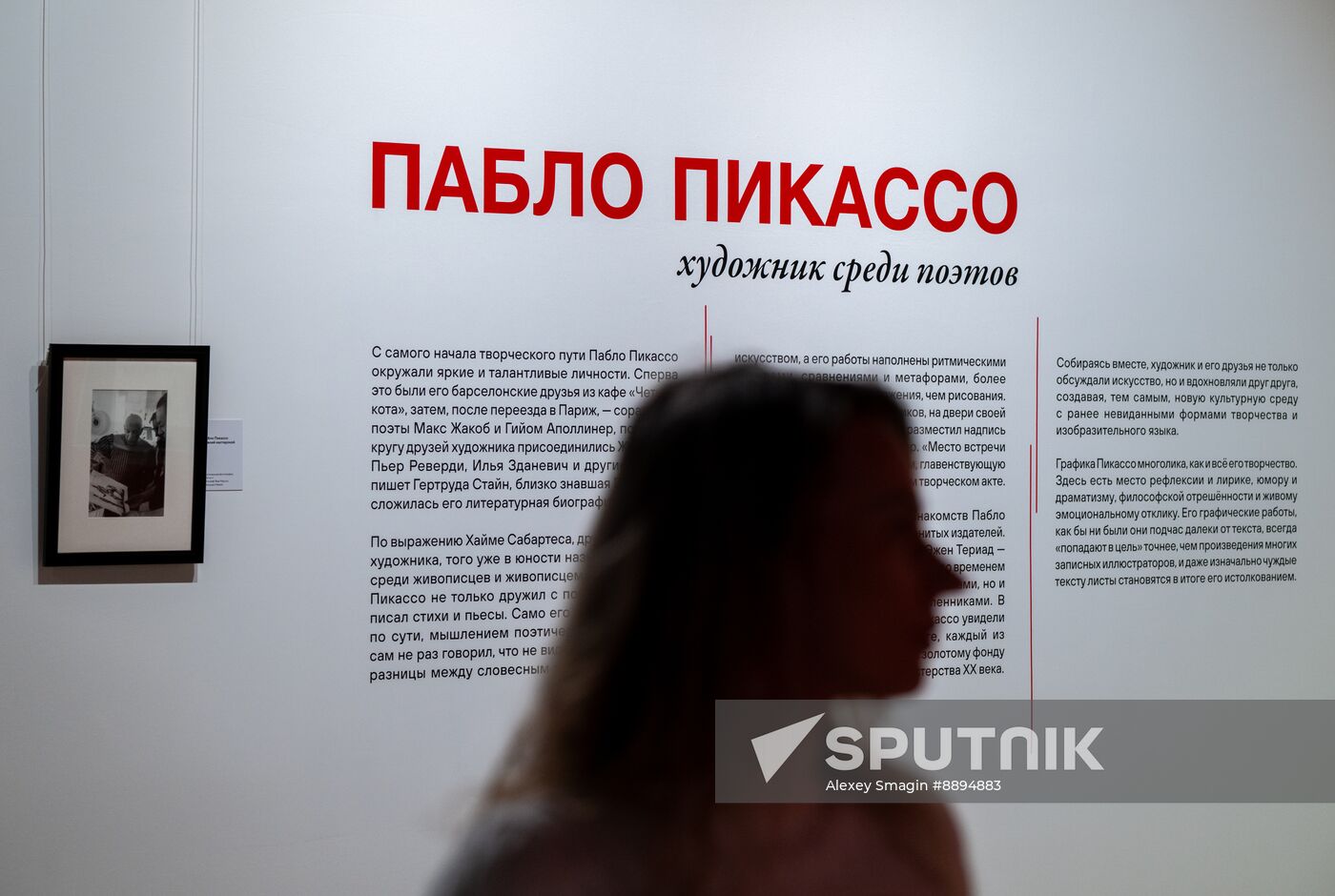 Russia Art Picasso Exhibition