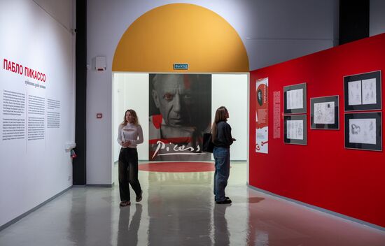 Russia Art Picasso Exhibition