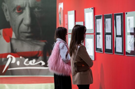 Russia Art Picasso Exhibition