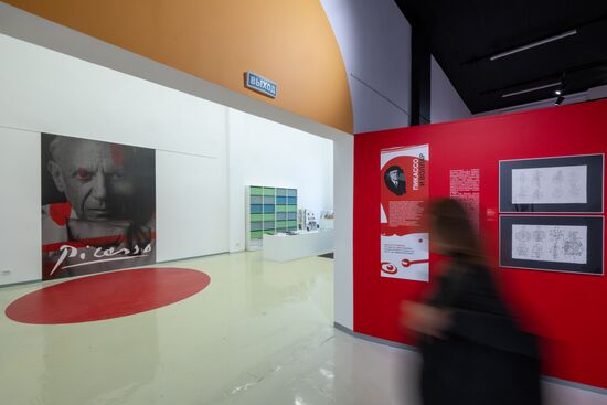 Russia Art Picasso Exhibition