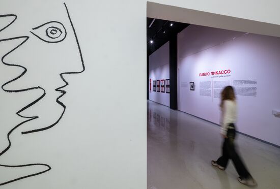 Russia Art Picasso Exhibition