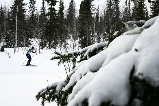 Russia Cross-Country Skiing Cup Men Free
