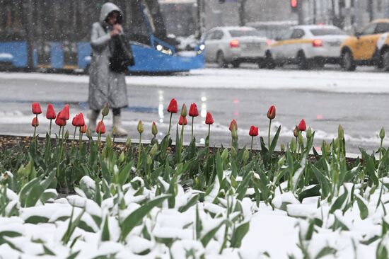 Russia Weather