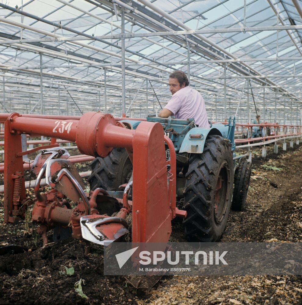 Moskovsky Greenhouse State Farm - Integrated Works