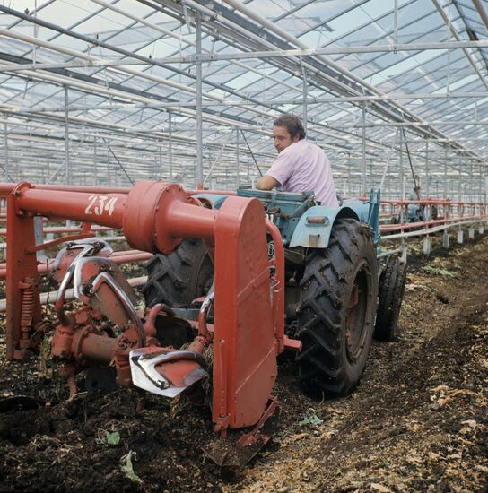 Moskovsky Greenhouse State Farm - Integrated Works