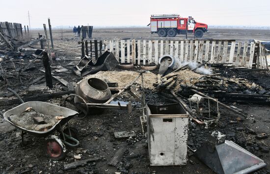 Russia Wildfires