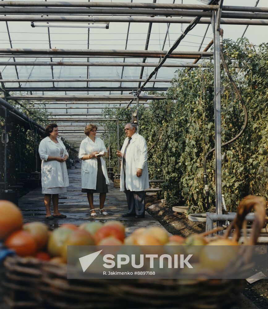 Khmelnitsky greenhouse facility