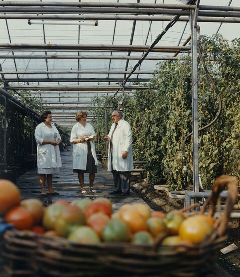 Khmelnitsky greenhouse facility