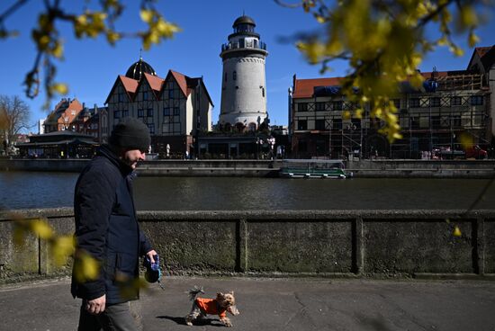 Russia Kaliningrad Cityscapes