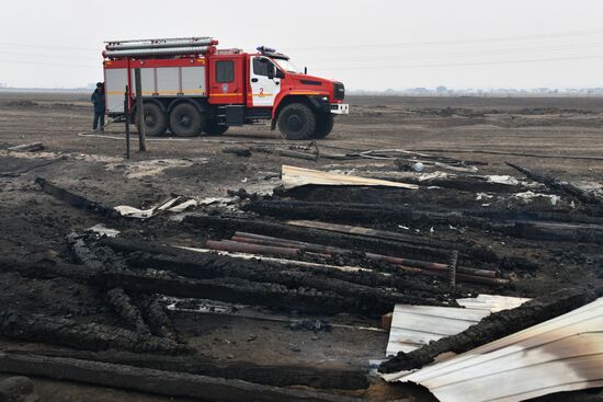 Russia Wildfires