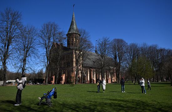 Russia Kaliningrad Cityscapes