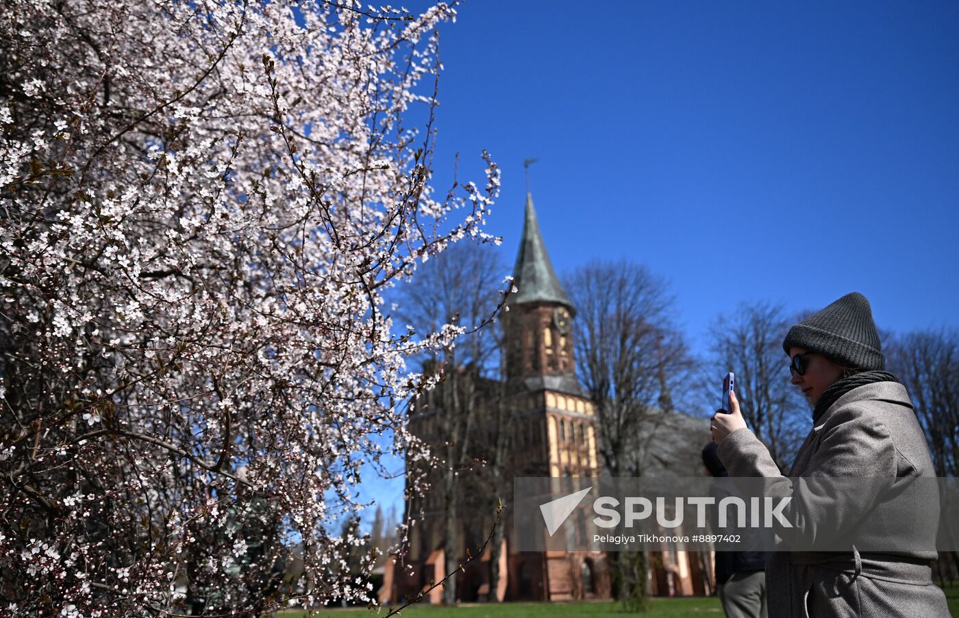 Russia Kaliningrad Cityscapes