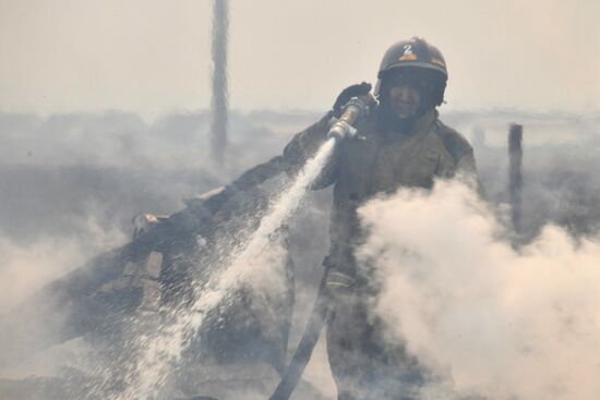 Russia Wildfires