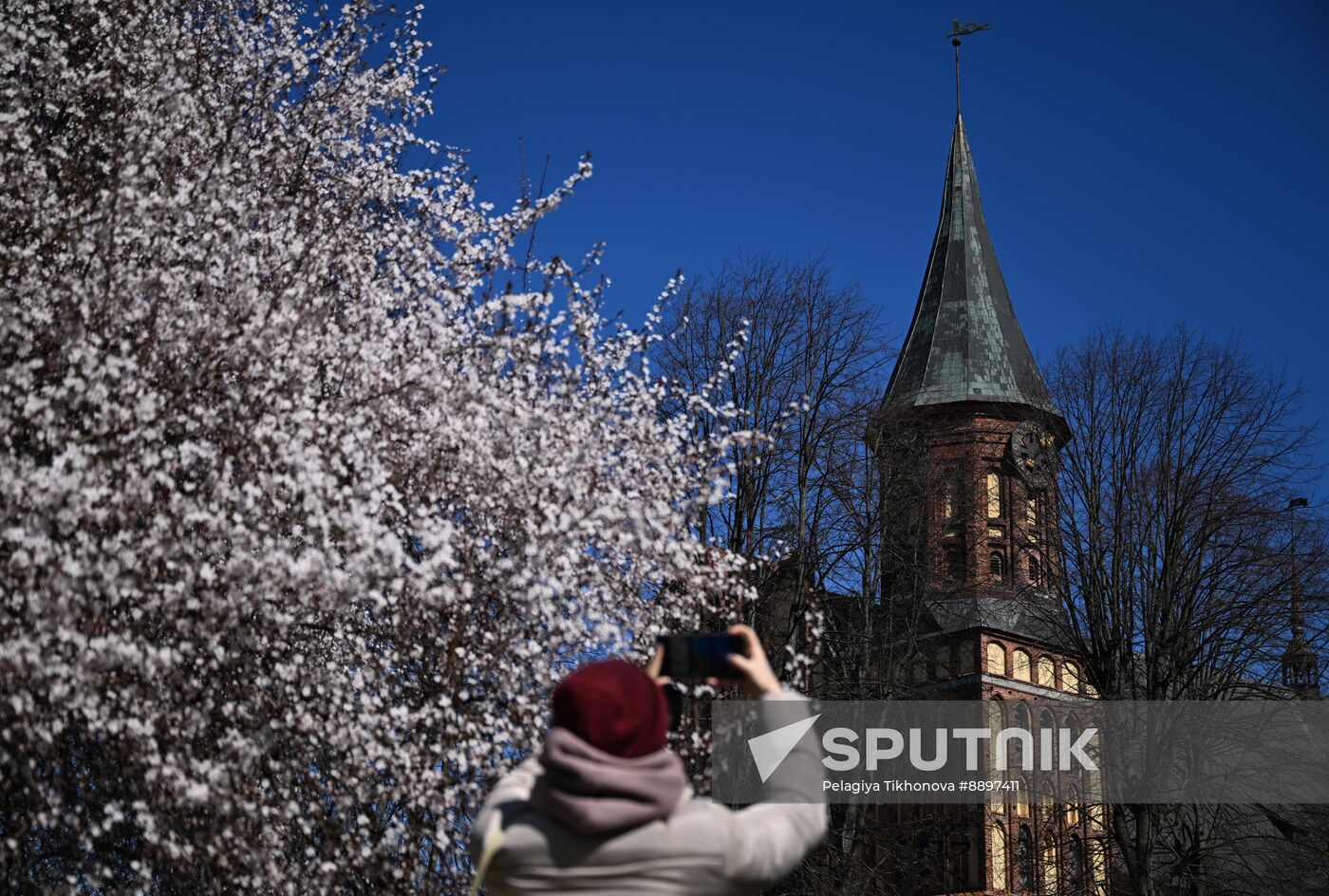 Russia Kaliningrad Cityscapes