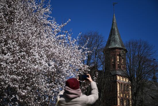 Russia Kaliningrad Cityscapes