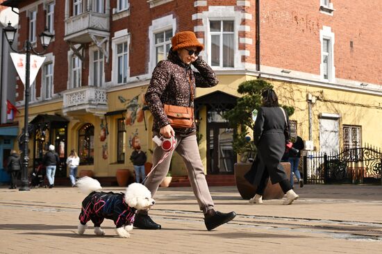 Russia Cityscapes Zelenogradsk