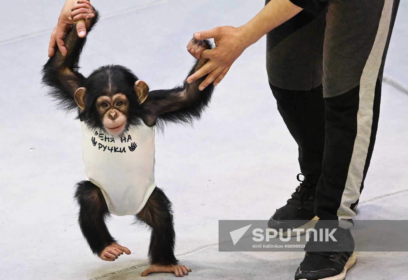 Russia Circus