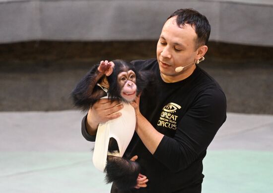 Russia Circus