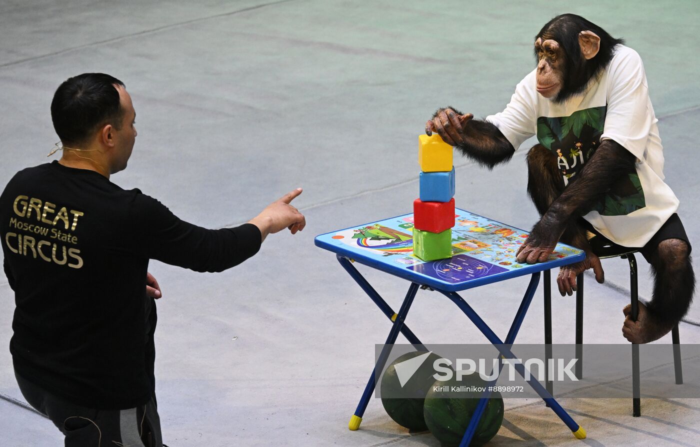 Russia Circus