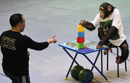 Russia Circus