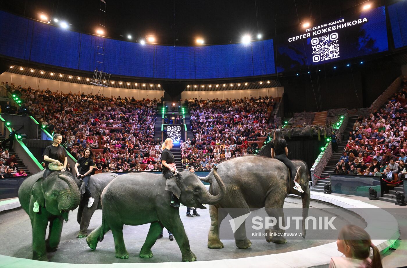 Russia Circus