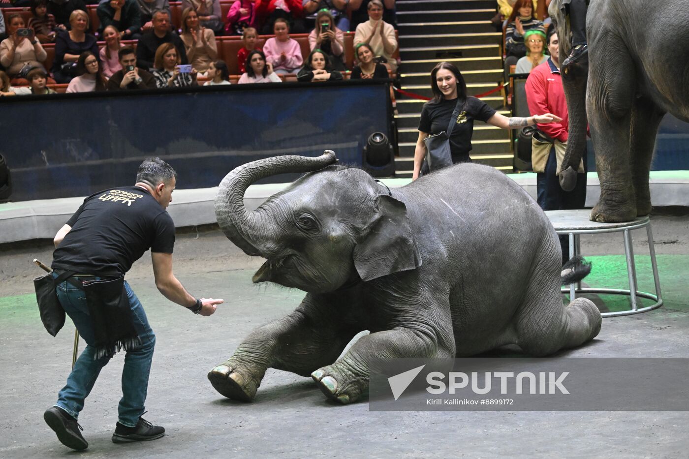 Russia Circus
