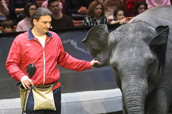 Russia Circus