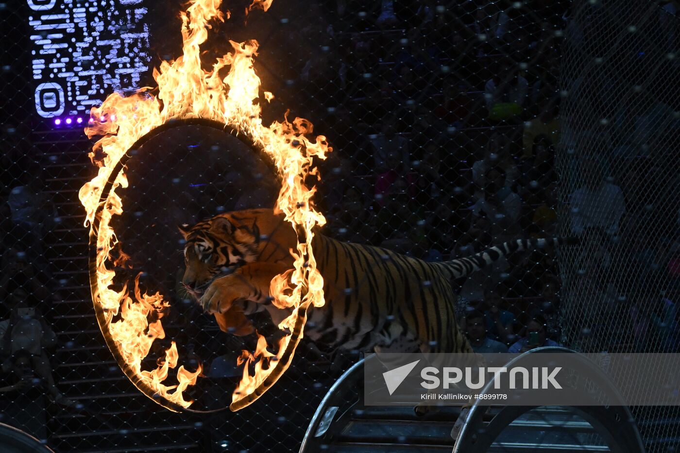 Russia Circus