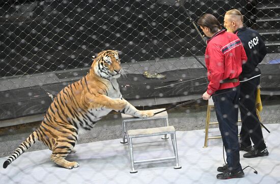Russia Circus