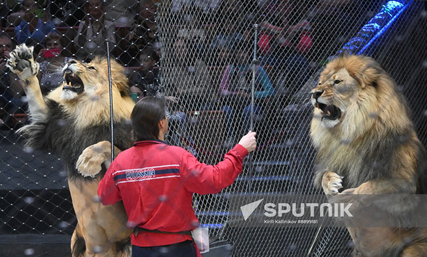 Russia Circus