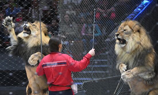 Russia Circus