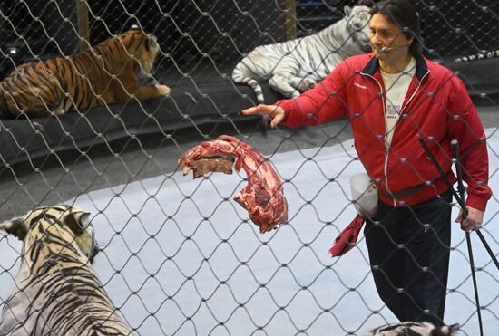 Russia Circus