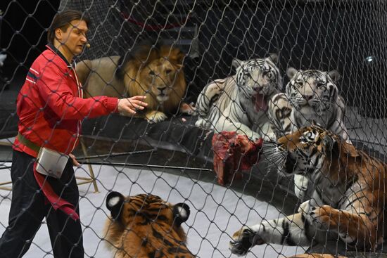 Russia Circus